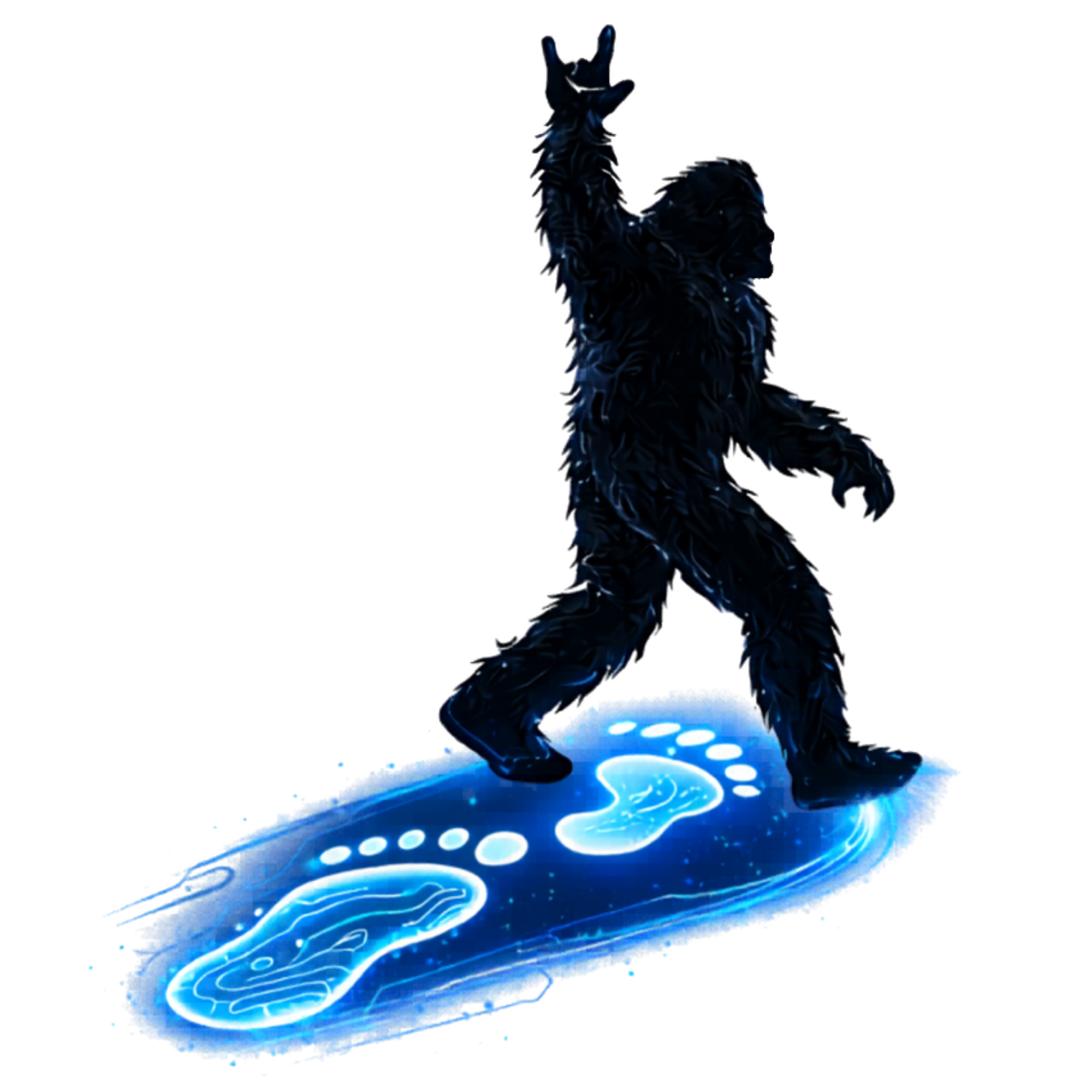 Digital Footprint Management